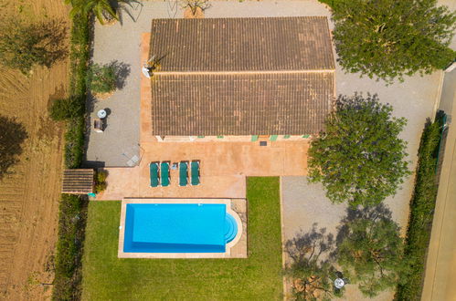 Foto 30 - Casa de 2 quartos em Campos com piscina privada e jardim