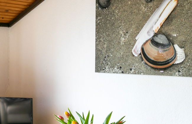 Apartamento de 3 quartos em Friedrichskoog com jardim e terraço - Foto 14