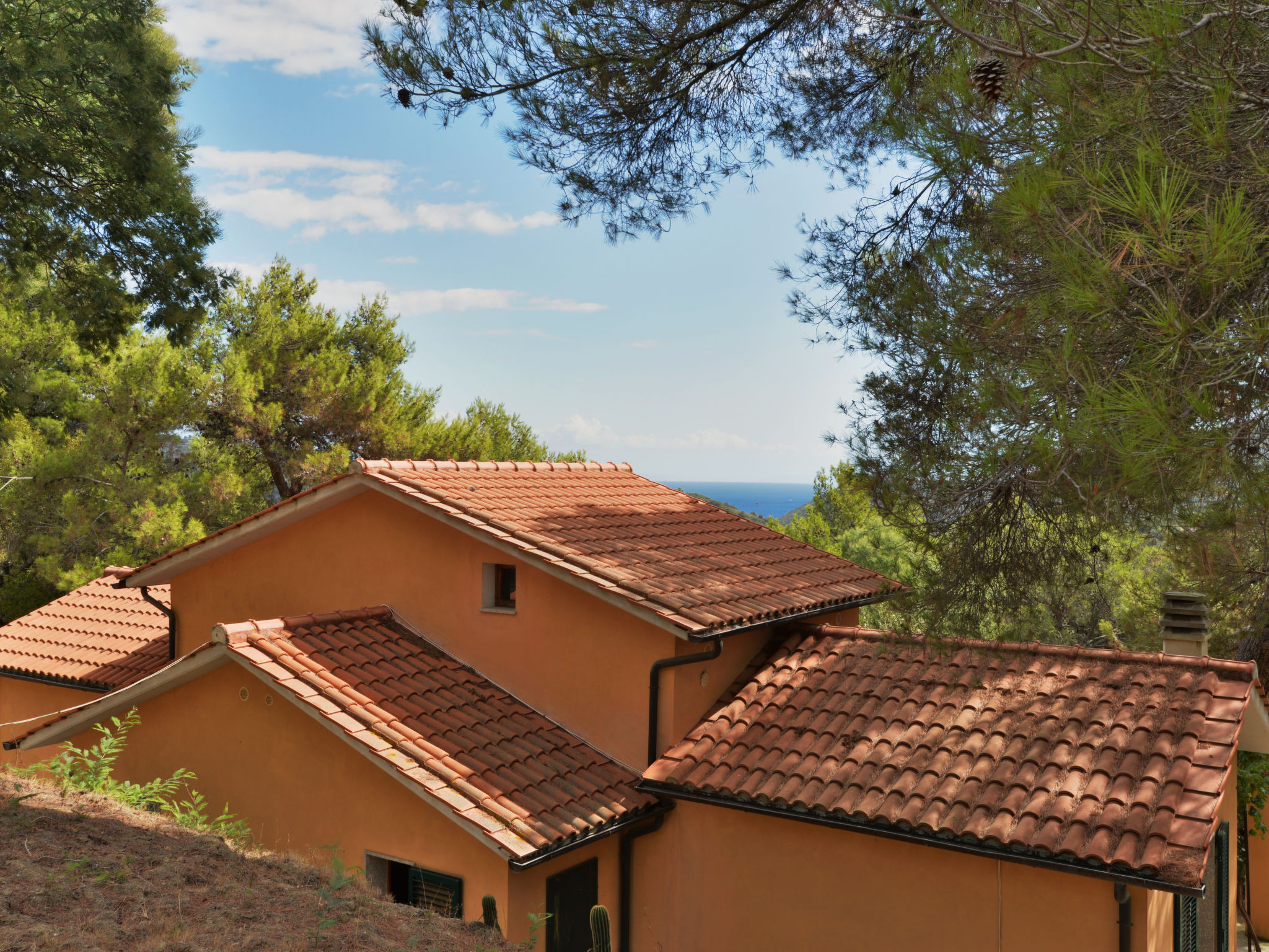 Foto 2 - Appartamento con 1 camera da letto a Rio con giardino e terrazza