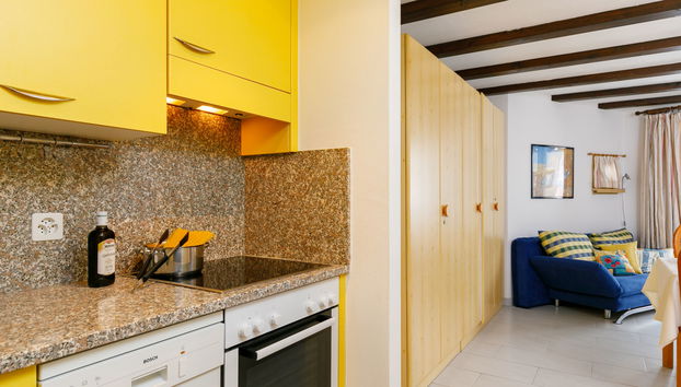 Apartamento de 1 quarto em Silvaplana com terraço - Foto 4