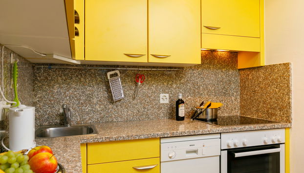 Apartamento de 1 quarto em Silvaplana com terraço - Foto 5