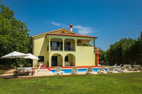 Foto 1 - Casa con 7 camere da letto a Sveta Nedelja con piscina privata e giardino