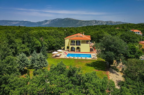 Foto 4 - Casa con 7 camere da letto a Sveta Nedelja con piscina privata e vista mare