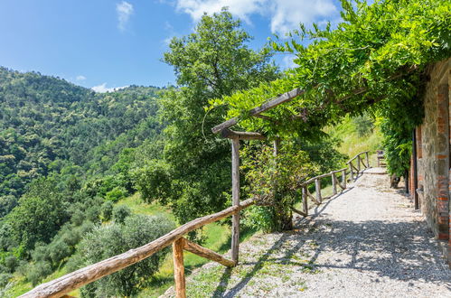 Photo 25 - 1 bedroom Apartment in Pescia with swimming pool and garden