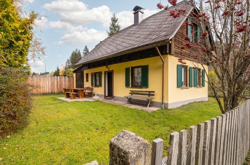 Foto 24 - Haus mit 1 Schlafzimmer in Pölstal mit garten und blick auf die berge