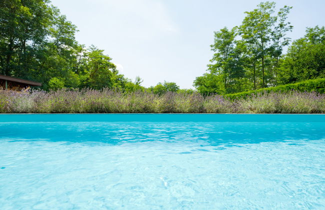 Casa de 3 quartos em Balatonszemes com piscina privada e jardim - Foto 33