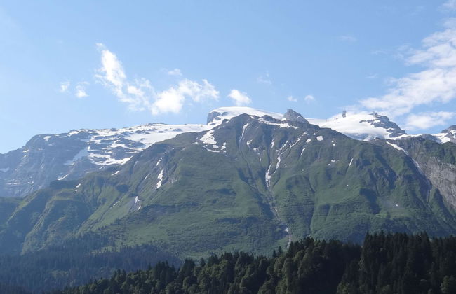 Apartamento de 2 quartos em Engelberg com jardim - Foto 10