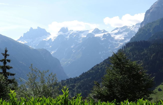 Apartamento de 2 quartos em Engelberg com jardim - Foto 11