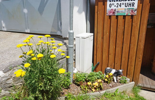 Apartment mit 3 Schlafzimmern in Pians mit garten - Foto 36
