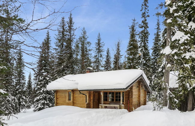 Karhuntuuli - Foto 17