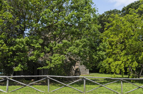 Foto 24 - Apartamento de 2 quartos em Bagnoregio com piscina e jardim