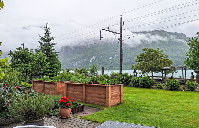 Apartamento de 2 quartos em Brienz com jardim - Foto 19
