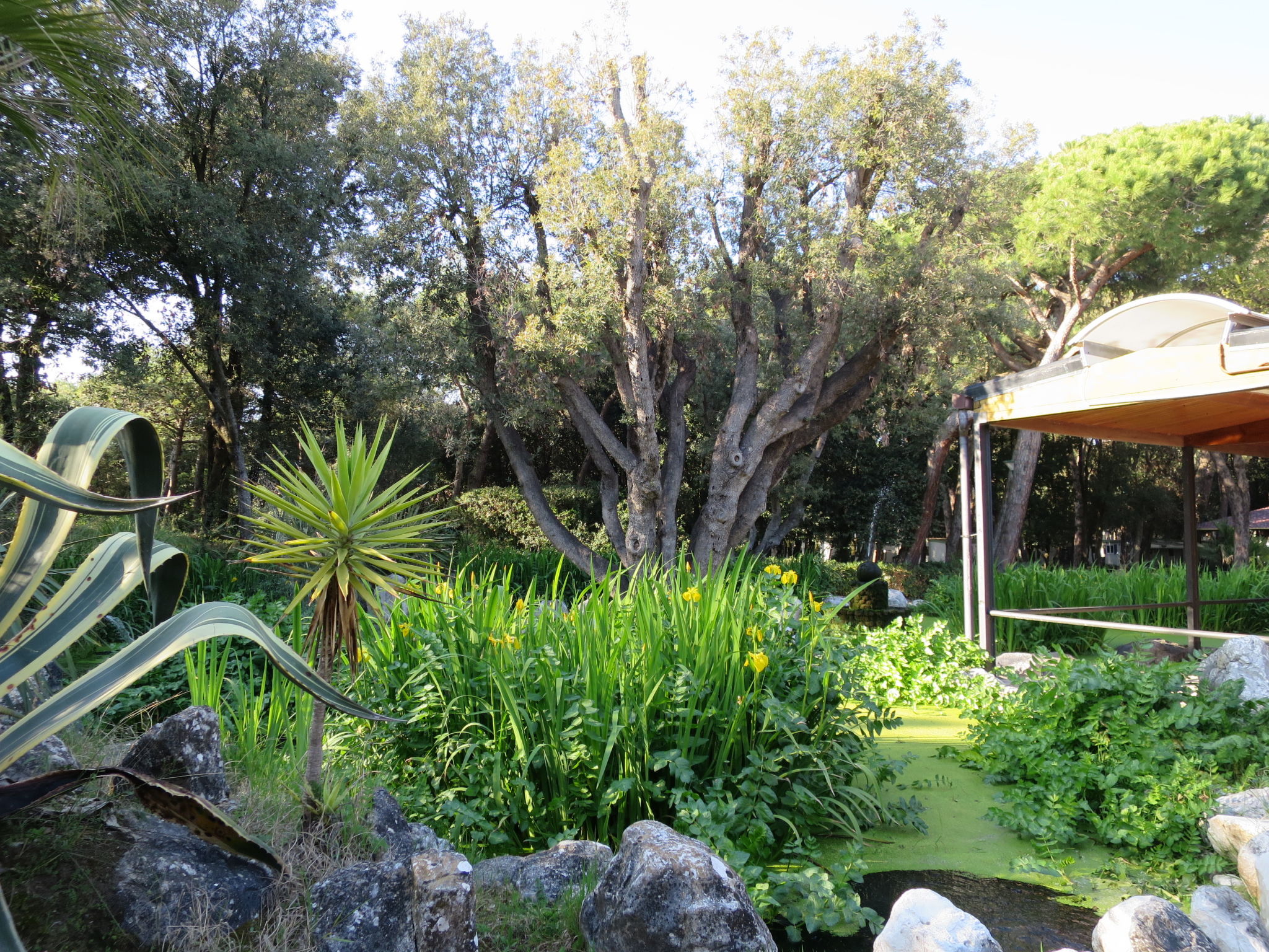 Foto 20 - Casa de 2 quartos em Sessa Aurunca com piscina e jardim