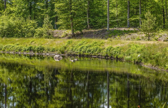 Casa de 4 quartos em Olofström com jardim e sauna - Foto 27