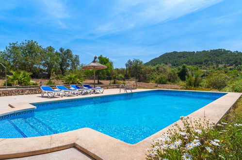 Photo 33 - Maison de 3 chambres à Felanitx avec piscine privée et jardin