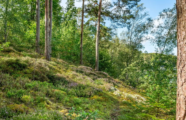 Casa de 3 quartos em Olofström com jardim - Foto 31