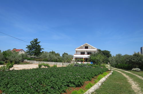 Foto 2 - Appartamento con 3 camere da letto a Vir con giardino e vista mare