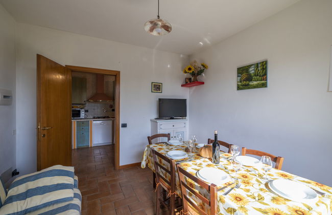 Casa de 4 quartos em Colle di Val d'Elsa com piscina privada e jardim - Foto 7