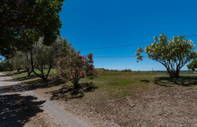 Casa de 2 quartos em Cervione com jardim e terraço - Foto 26