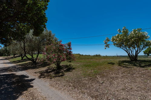 Photo 25 - Maison de 2 chambres à Cervione avec jardin et vues à la mer