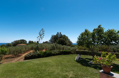 Photo 21 - Maison de 3 chambres à Cervione avec jardin et terrasse