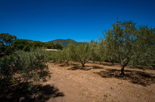 Photo 24 - Maison de 2 chambres à Cervione avec jardin et vues à la mer