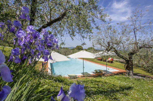 Photo 19 - Maison de 1 chambre à Montevarchi avec piscine et jardin