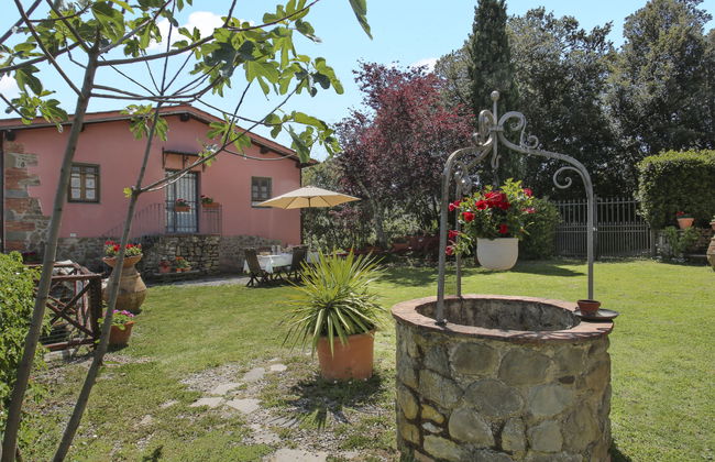 Haus mit 2 Schlafzimmern in Montevarchi mit schwimmbad und garten - Foto 1
