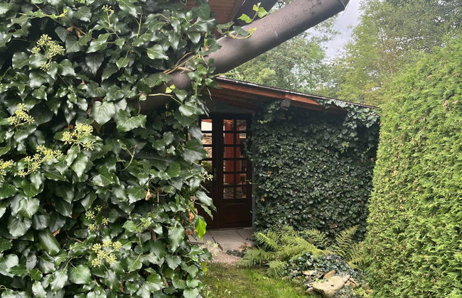 Haus mit 5 Schlafzimmern in Kvasiny mit privater pool und garten - Foto 34