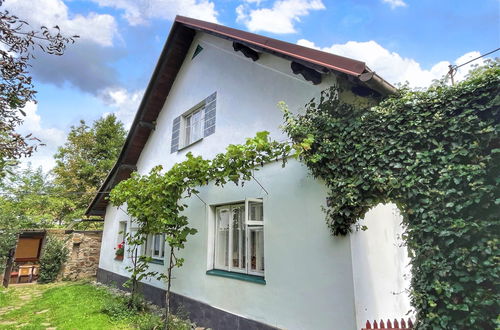 Photo 30 - Maison de 4 chambres à Kvasiny avec piscine privée et jardin