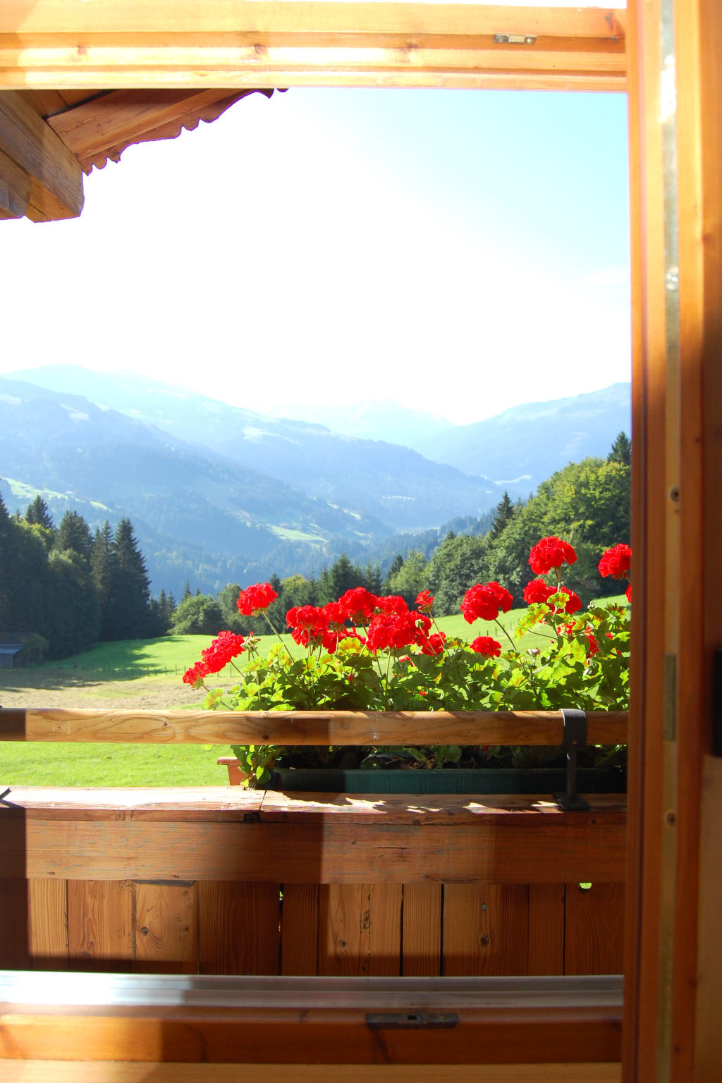 Photo 7 - Appartement de 2 chambres à Hopfgarten im Brixental avec vues sur la montagne