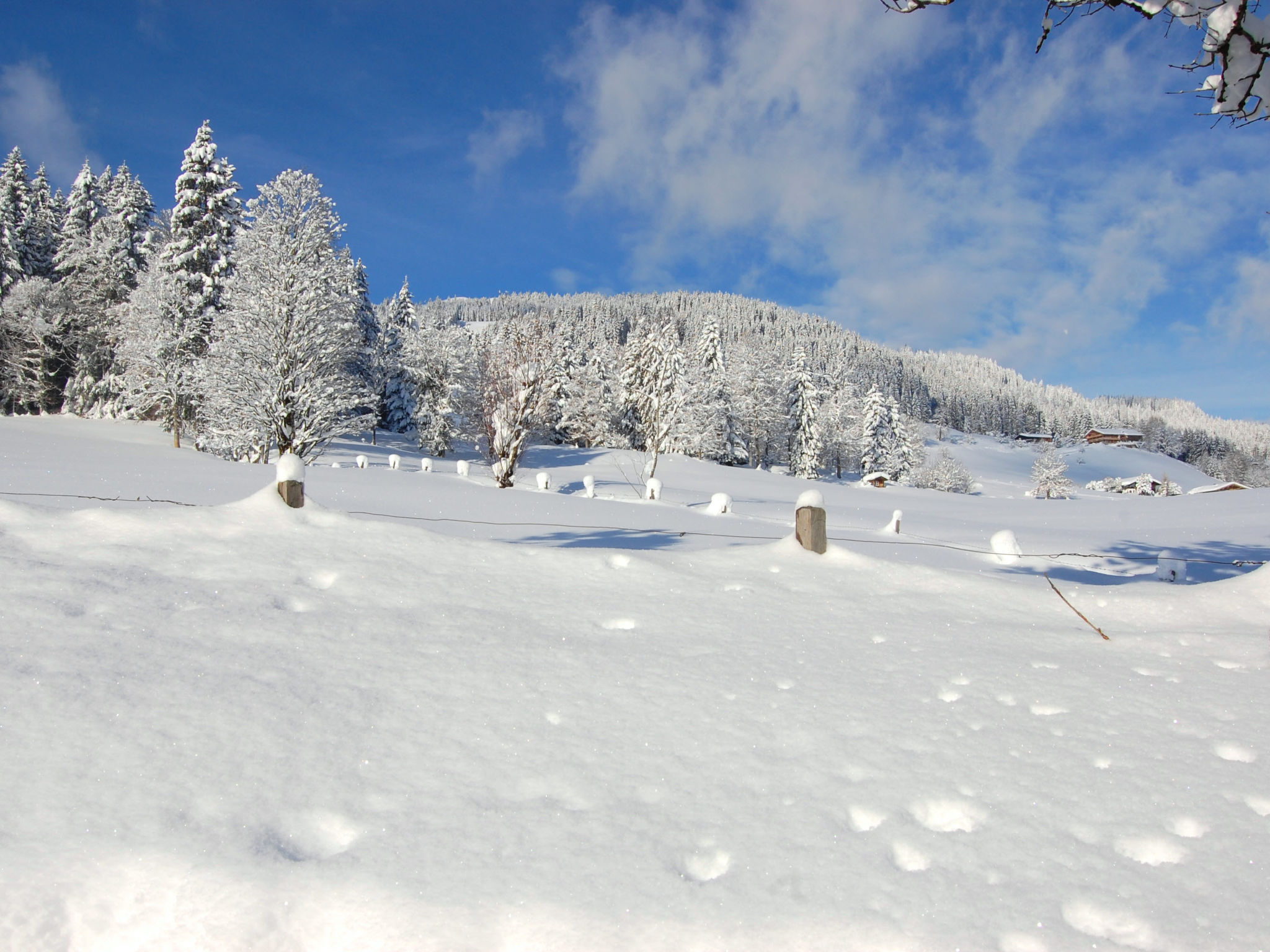 Photo 20 - Appartement de 2 chambres à Hopfgarten im Brixental avec vues sur la montagne