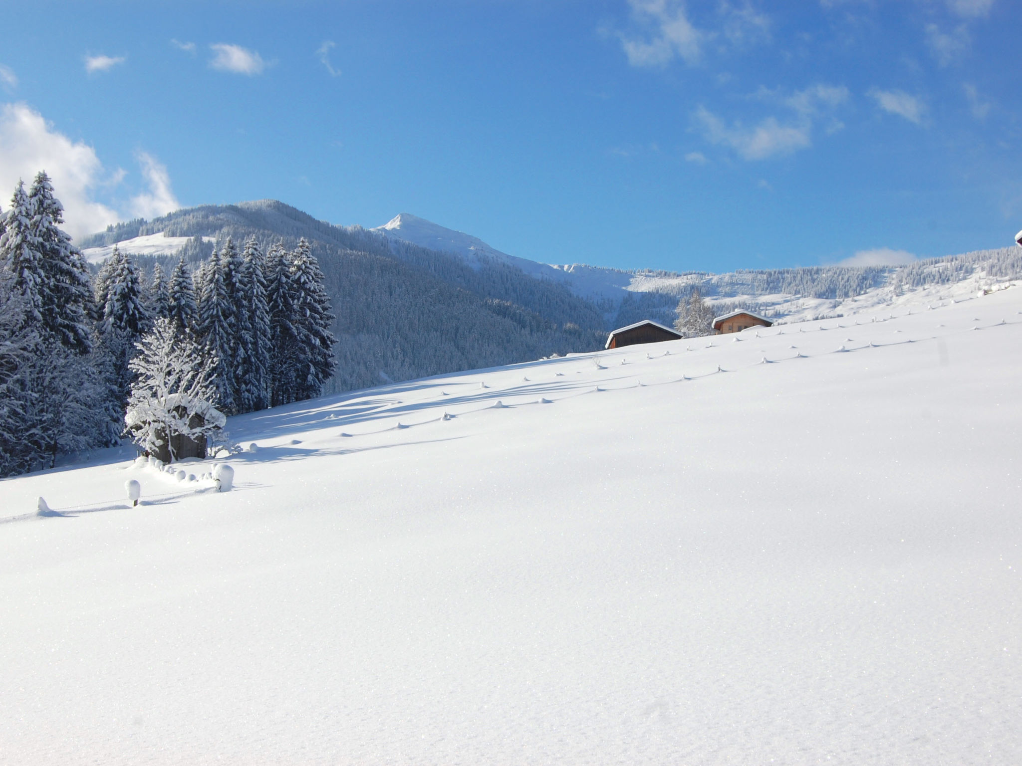 Photo 23 - Appartement de 2 chambres à Hopfgarten im Brixental avec vues sur la montagne