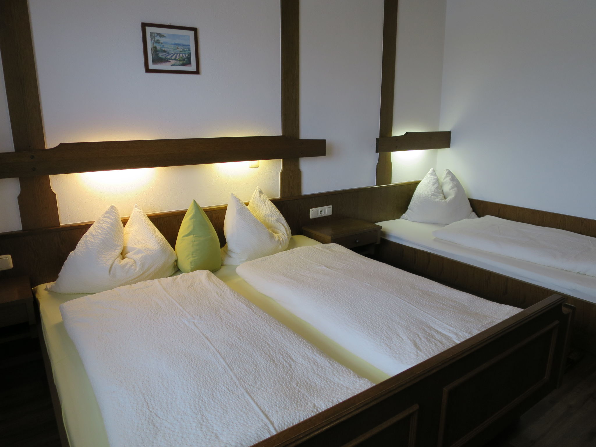 Foto 12 - Appartamento con 2 camere da letto a Ramsau im Zillertal con vista sulle montagne