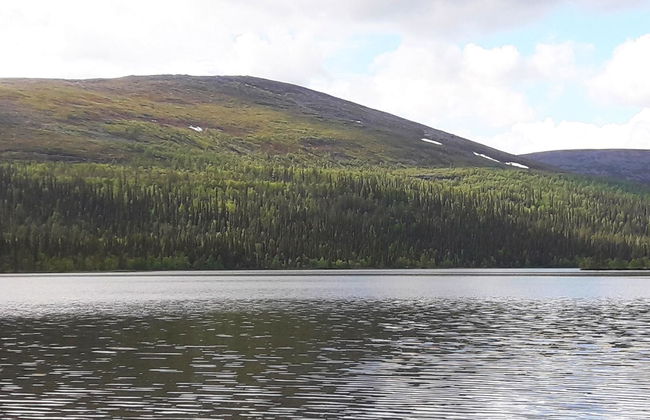 3 bedroom House in Kittilä with sauna - Photo 32