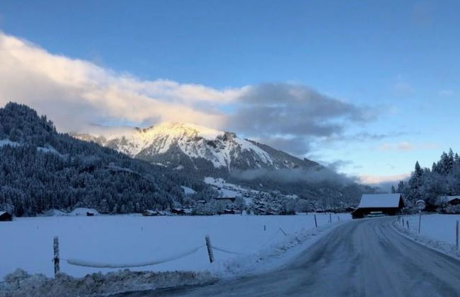Apartamento de 2 quartos em Lenk - Foto 9