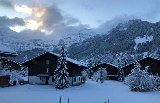 Apartamento de 2 quartos em Lenk - Foto 7