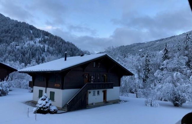 Apartamento de 2 quartos em Lenk - Foto 6