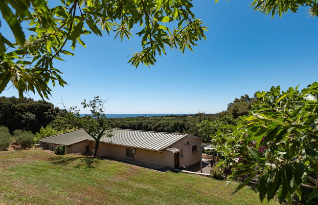 Casa de 4 quartos em Cervione com jardim e terraço - Foto 23