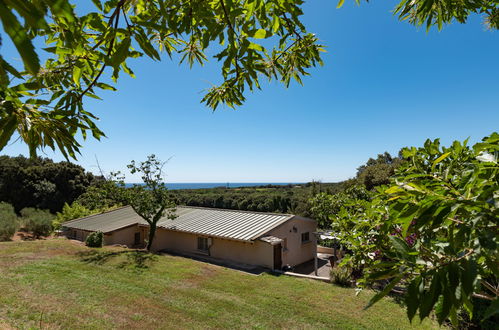 Foto 18 - Casa con 3 camere da letto a Cervione con giardino e vista mare