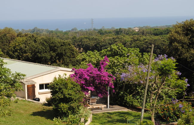 Casa de 4 quartos em Cervione com jardim e terraço - Foto 21