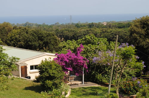 Photo 16 - Maison de 3 chambres à Cervione avec jardin et vues à la mer