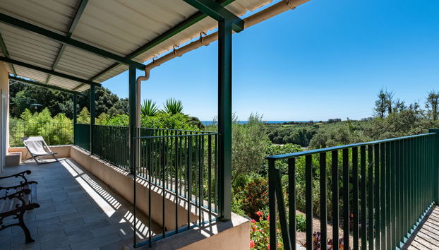 Haus mit 4 Schlafzimmern in Cervione mit garten und terrasse - Foto 3