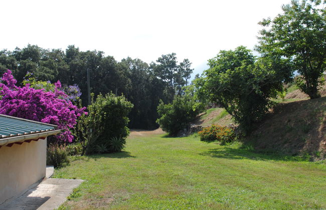 Casa de 4 quartos em Cervione com jardim e terraço - Foto 22