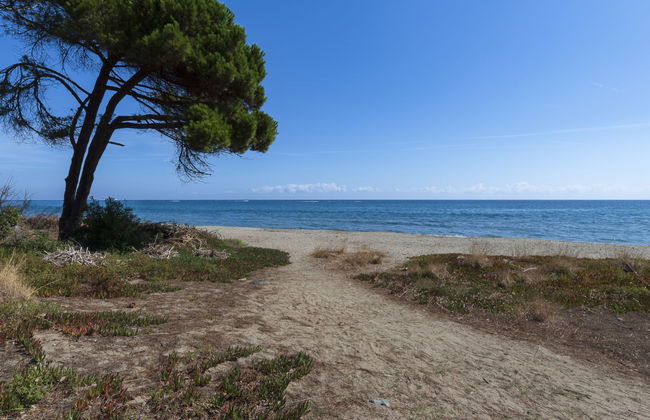 Apartamento de 4 quartos em Cervione com piscina e jardim - Foto 28