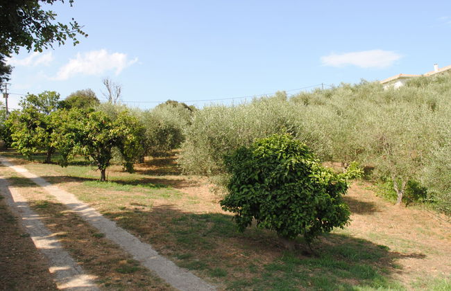 Casa de 4 quartos em Cervione com jardim e terraço - Foto 25