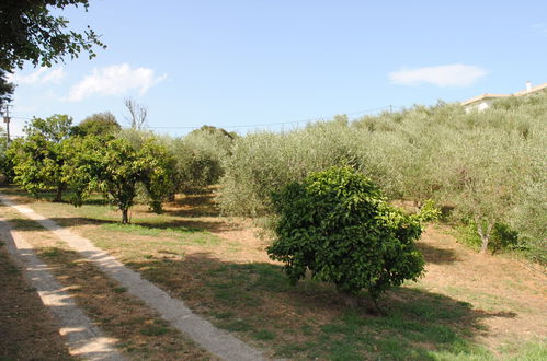 Foto 25 - Casa con 3 camere da letto a Cervione con giardino e terrazza