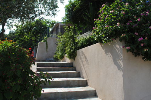 Photo 20 - Maison de 3 chambres à Cervione avec jardin et terrasse