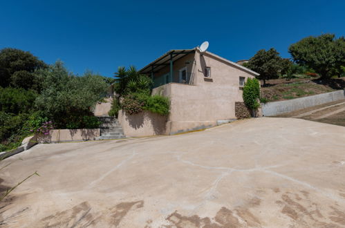 Foto 18 - Casa con 3 camere da letto a Cervione con giardino e terrazza