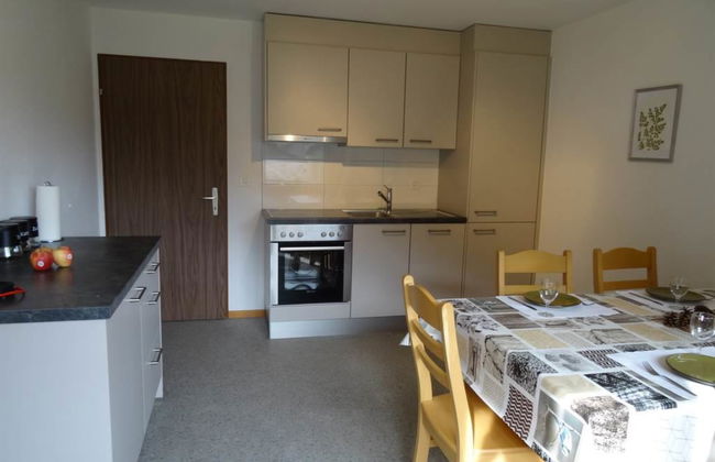 Apartamento de 2 quartos em Saas-Balen com jardim - Foto 12